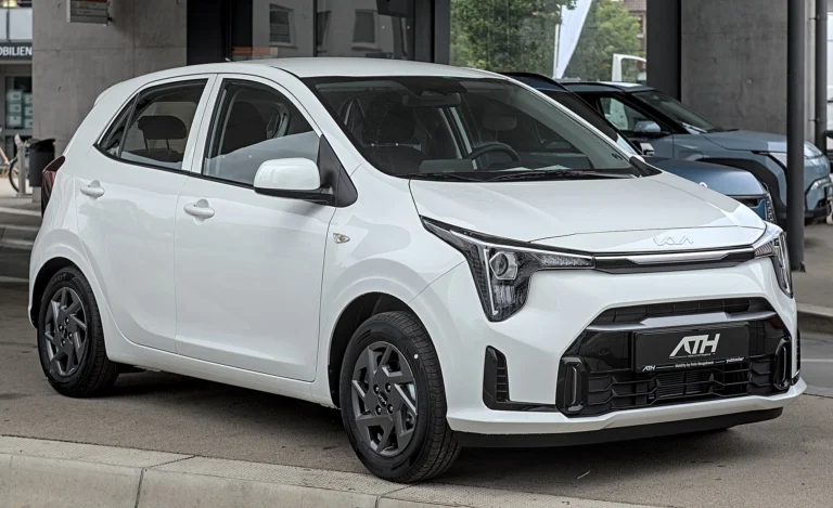 Si no vas a usar el carro varias semanas: cómo preparar su almacenamiento